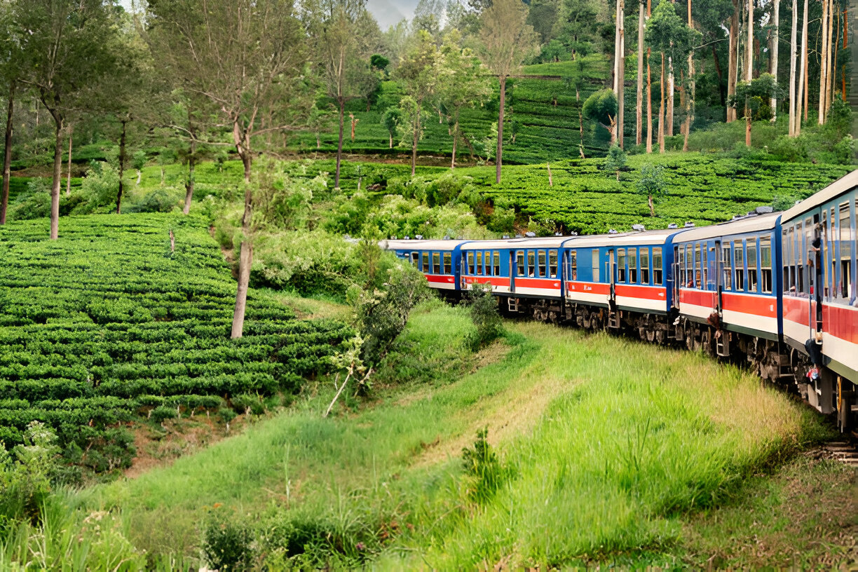 Nuwaraeliya